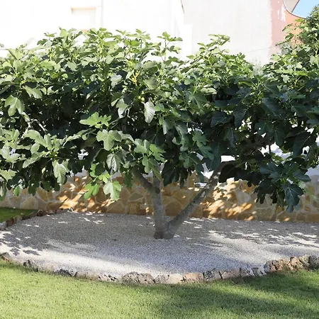 A Casa Di Sofia Bed & Breakfast 3*