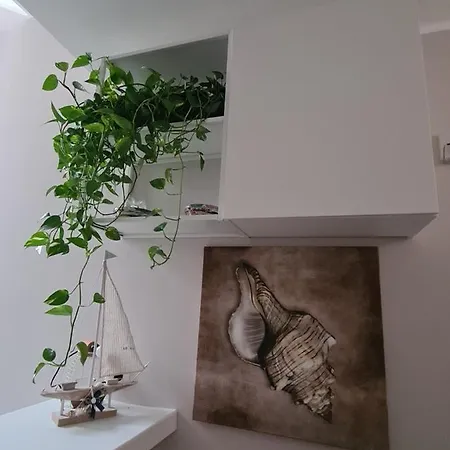 A Casa Di Sofia 3* Porto Cesareo